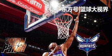 黄蜂爆料乔丹视频大全下载,重温篮球传奇时刻  第2张